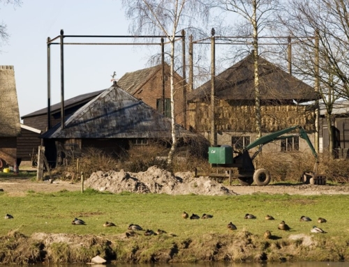 Van hooischuur naar hoofdpijndossier